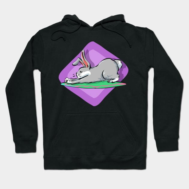 Yoga Spiritual Bunny Pet Owners Hoodie by PhantomDesign